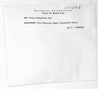 Image Associated With the Occurrence